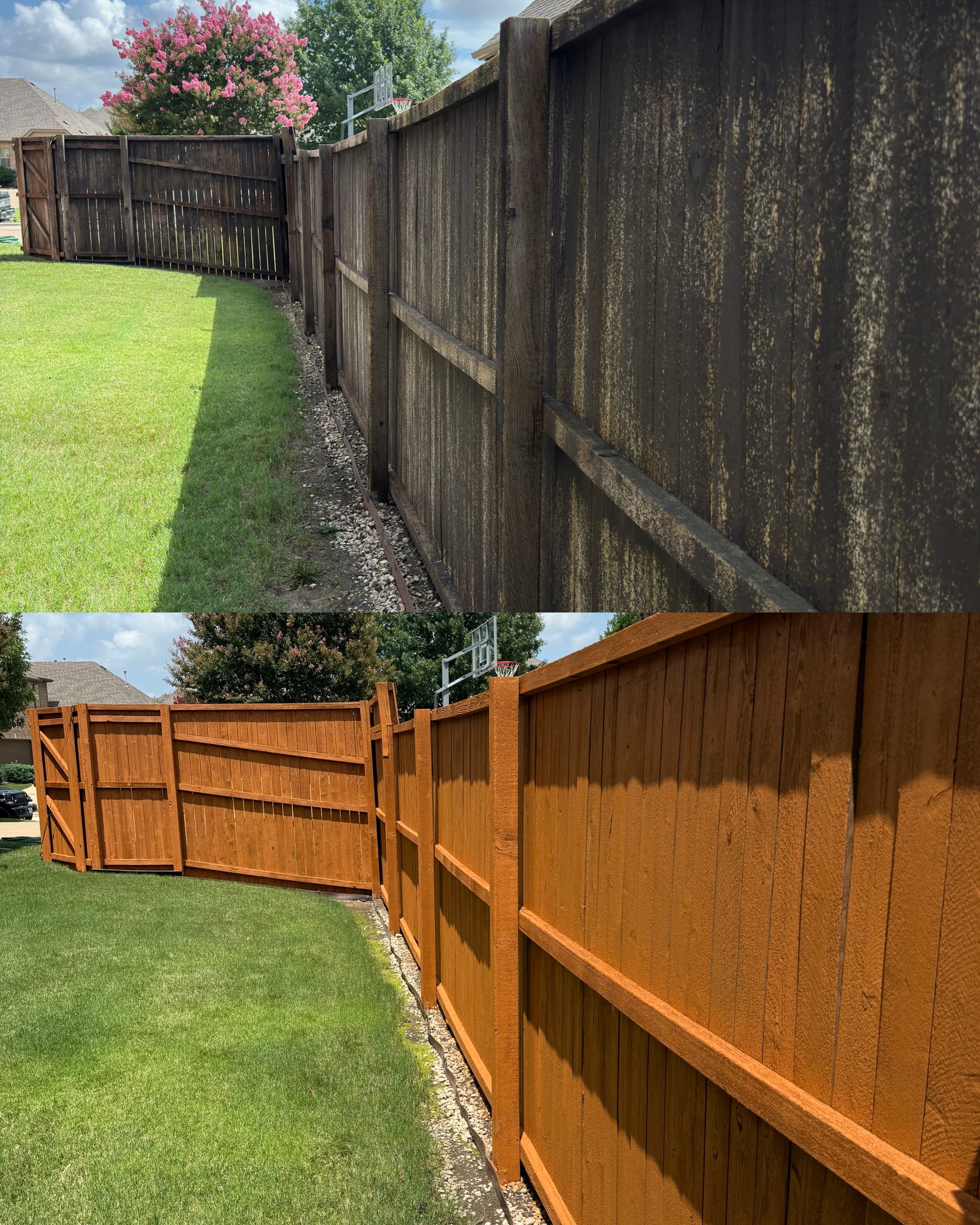 Fence Restoration, Staining & Painting in Dallas, TX
